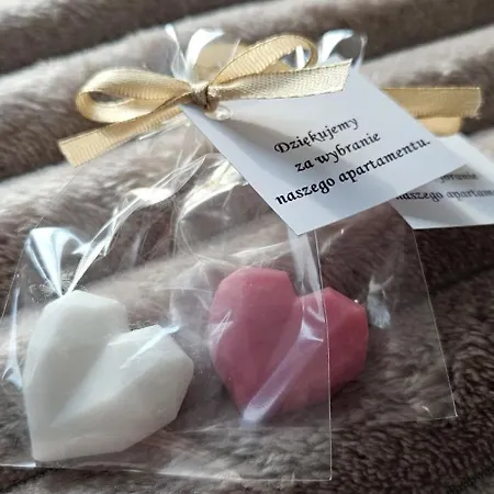 Golden Horizon Hanza Tower - Spa&sky View *