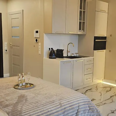 Golden Horizon Hanza Tower - Spa&sky View Apartment *